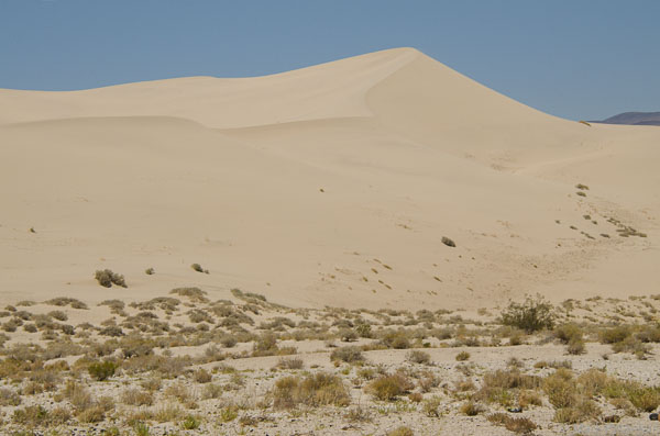 Sand-Dunes-75.jpg