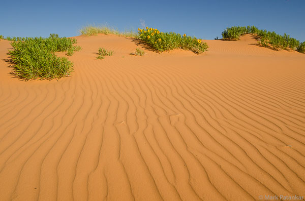 Sand-Dunes-82.jpg