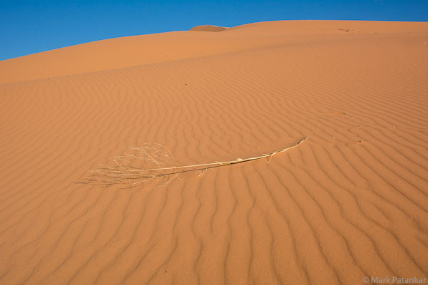 Sand-Dunes-84.jpg