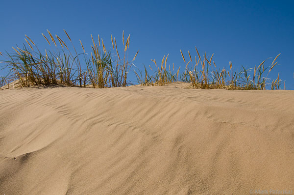 Sand-Dunes-9.jpg